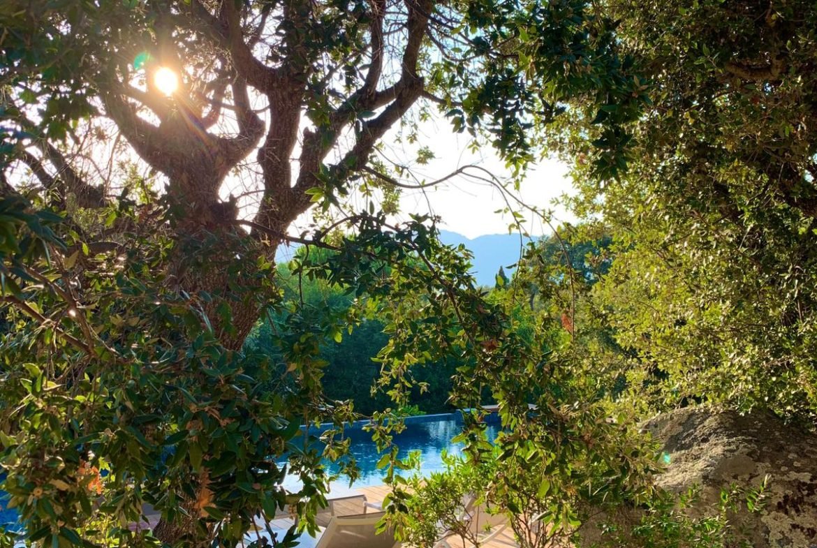 Piscine et maquis vue montagne Location villa Porto-Vecchio domaine privé de Cala Rossa plages privées à pied, villa de luxe 4 chambres et piscine jardin paysagé vacances en Famille Corse
