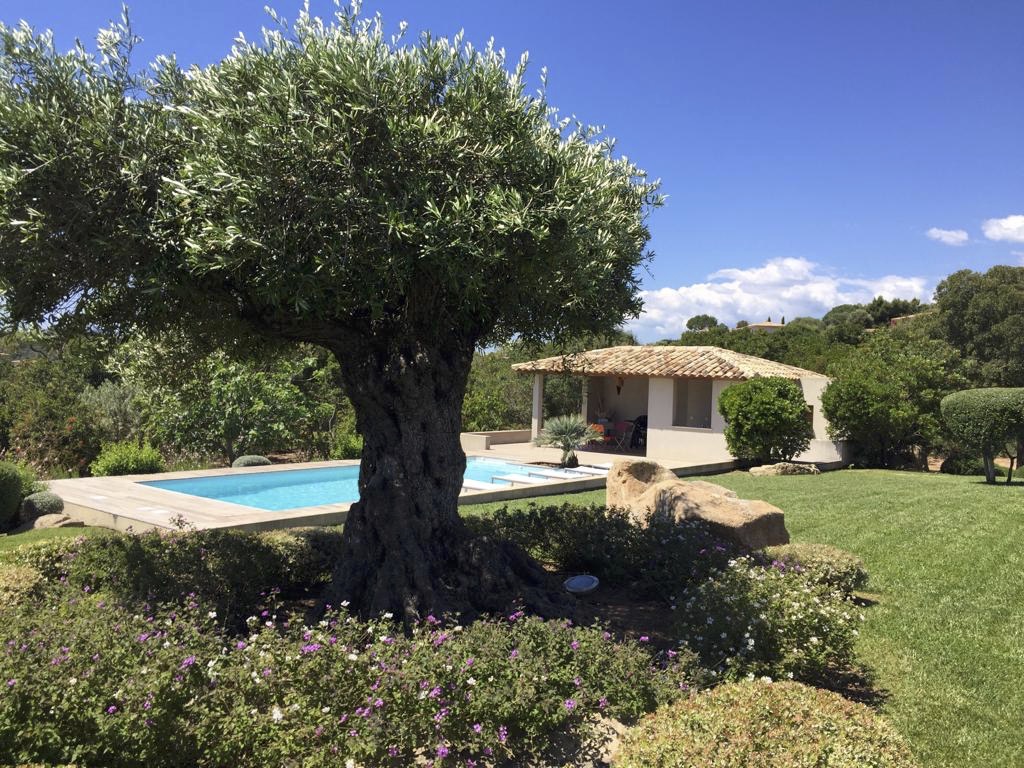 Location villa de luxe en Corse à Porto-vecchio